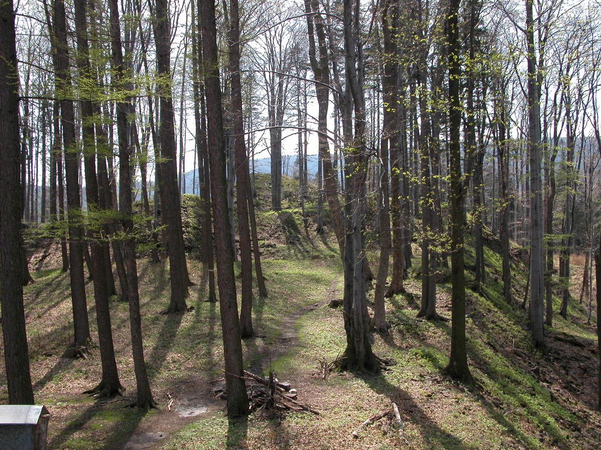 Overall view of the lower ward and upper ward (in the background) from the north.