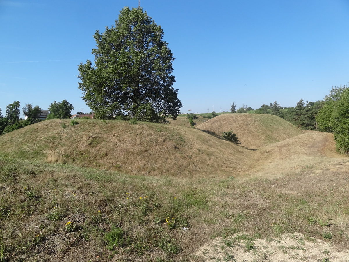 Distinctive field marks of the small castle surrounded by a moat and rampart.