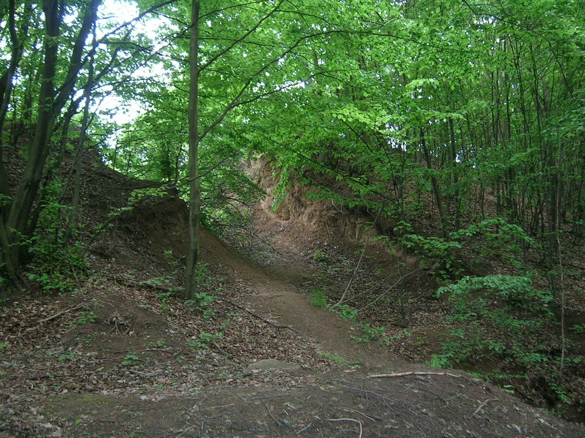 Cross section through the rampart in the north-east part of the hillfort in 2008.