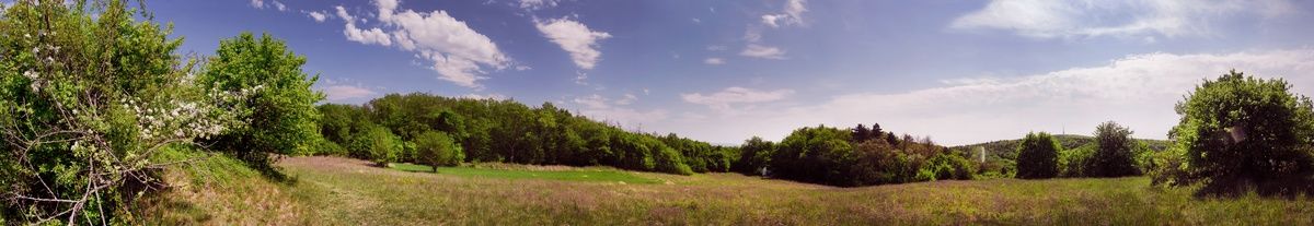 Panoramatický snímek z akropole hradiska Věteřov (doba bronzová) směrem ke kapli sv. Josefa; pohled od severozápadu.
